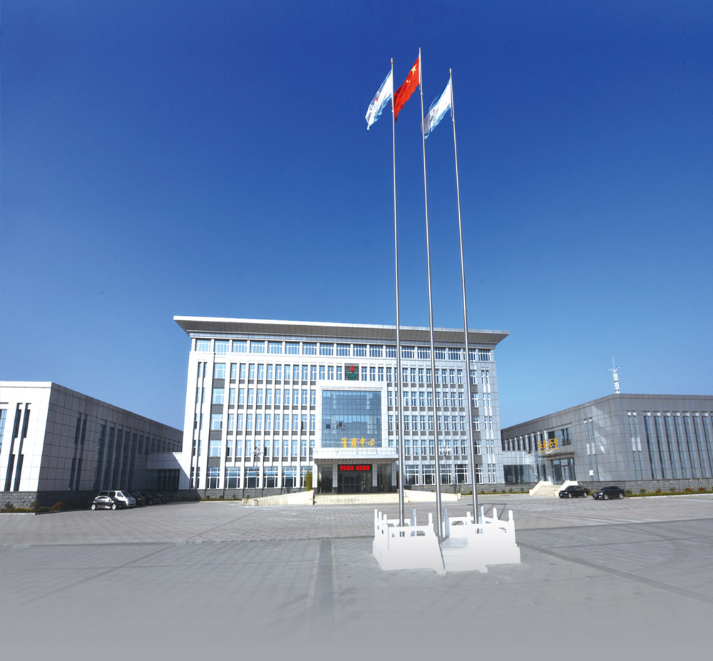 Shandong Luoxin Pharmaceutical Group Hengxin Pharmaceutical Co., Ltd.: Ведущий игрок в фармацевтическом производстве Shandong Luoxin Pharmaceutical Group Hengxin Pharmaceutical Co., Ltd.: Ведущий игрок в фармацевтическом производстве